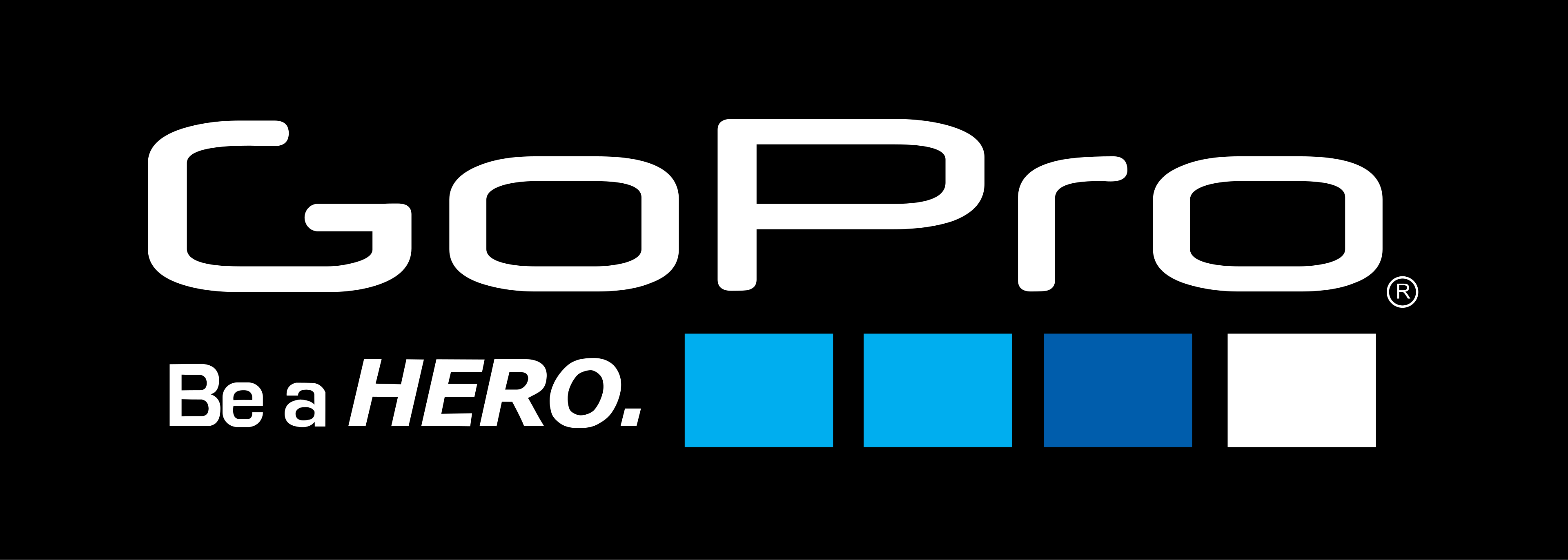 GoPro Logo